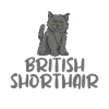 Cadeaux British Shorthair
