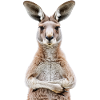 Kangaroo