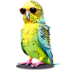 Cool budgie with sunglasses