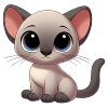 Siamese 12