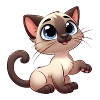 Siamese 1