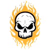 Flames Skull