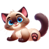 Siamese 14