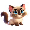Siamese 20