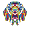 Weimaraner Dog Popart