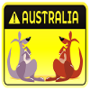 AUSTRALIA MARSUPIALS KANGAROO COUPLES