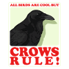 Crows Ravens Birds Gift