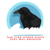 Crows Black Ravens Gifts