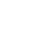 Penguin Pilot Flyvemaskine Flyvelicens Aktier