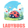 Ladybug Marienkäfer
