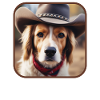 Howdy Pardner