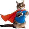 Katze im Superhelden-Umhang