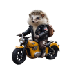 Biker hedgehog