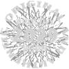 2029