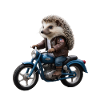 Biker hedgehog