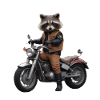 Waschbär-Biker