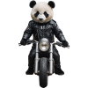 Biker Panda