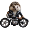 Hérisson motard