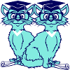 Cat College Graduation Graduation Passed