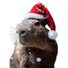Capybara