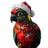 Parrot