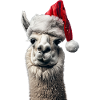 Lama