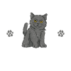 British Shorthair Gifts