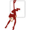 Monkey hangs out