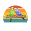 Budgie Gift