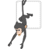 Monkey / Monkey