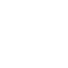 Tortue Tortues