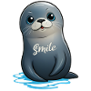 Cute seal