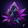 Funky Purple Weed