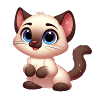 Siamese 21