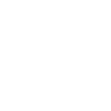 2025 Line
