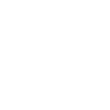 2025 Line