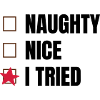 Dictons amusants pour Noël