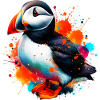 Puffin