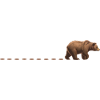 Karhun jäljet Ruskean karhun jäljet Karhun harmaakarhut