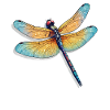 Farbenprächtige Libelle Illustration