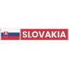 Slovakia National Flag