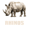 Rhino Rhinos Rhino