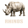 Rhino Rhinos Rhino