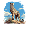 Cheetah Geparde Gepard