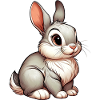 Rabbit