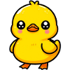 Duckling Duck Duck Duck