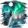 Aurora borealis