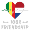 Senegal and Netherlands 100% friendship
