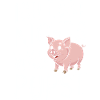 Animal cochon