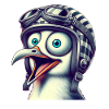 Cracy Seagull